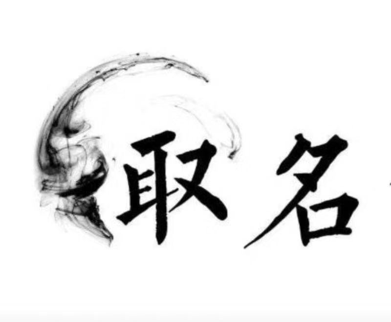  龙海宝宝取名 大师一对一人工起名